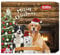 Nobby StarSnack Adventskalender Hund, 1 Packung (1 x 265 Gramm)