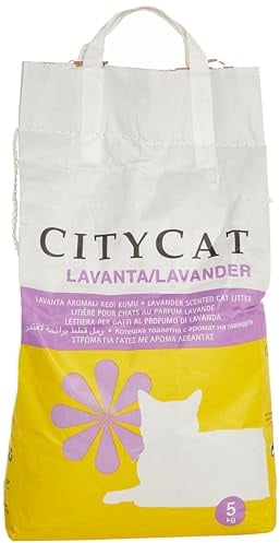 Tolsa Tüte City Cat 5KG SEPIOLITA Aroma