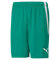 PUMA Teamliga Shorts Kurz, Pepper Green White, XXL
