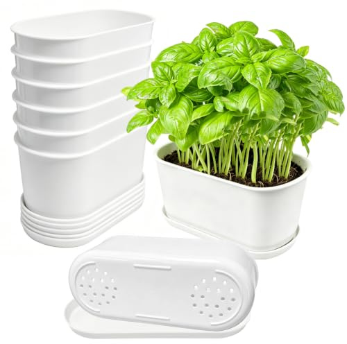 HO-SFSM 10 Piezas Macetas de Plástico para Plantas | con Plato Coloridas,con Orificio de Drenaje y Bandeja para Plantas Flores Hierbas Suculentas Cactus Macetas Pequeñas