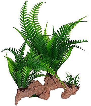 Attractive Fern Leaf Aquarium Plant On Rock Look 20cm Tall, Silk Plants on Resin Rock, Fish Tank or Terrarium Aquascaping Decoration, Green Aquarium Cover Plant