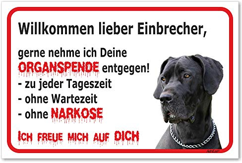 AdriLeo Schild - Vorsicht Deutsche Dogge - Willkommen lieber Einbrecher - (20x30cm) / Graues Fell Achtung Hund Wachhund deutscher Hund robust langlebig UV-beständig wetterfestes Warnschild