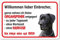 AdriLeo Schild - Vorsicht Deutsche Dogge - Willkommen lieber Einbrecher - (20x30cm) / Graues Fell Achtung Hund Wachhund deutscher Hund robust langlebig UV-beständig wetterfestes Warnschild