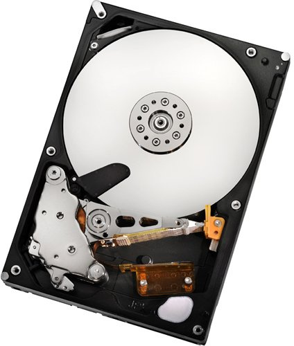 Hitachi Ultrastar A7K2000 1TB 3,5 Zoll 1000 GB Serie ATA II Festplatte – Festplatten (3,5 Zoll, 1000 GB, 7200 U/min)