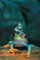 Frogs - Frösche - Familie - Plakat Poster Druck - Grösse 61x91,5 cm + 2 St Posterleisten Alu 63 cm