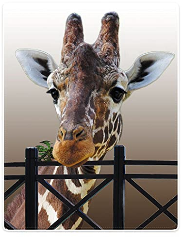 Zomer Decke Flauschig Kuscheldecke Bedruckt mit Giraffe Motiv,Grau,150x200 cm