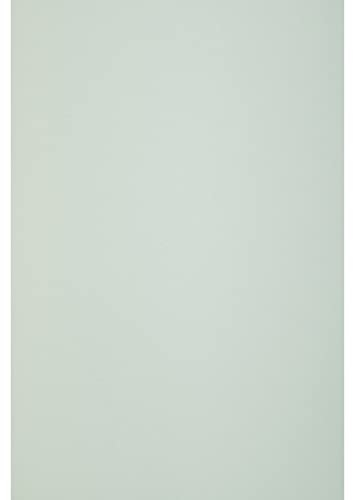 Netuno 50x Pastell Grün Natur Papier DIN A4 21 x 29,7 cm 120g Keaykolour Pastel Green Bastelpapier A4 Hellrosa hochwertige Qualität für Druckaufgaben Einladungs Karten Hochzeits