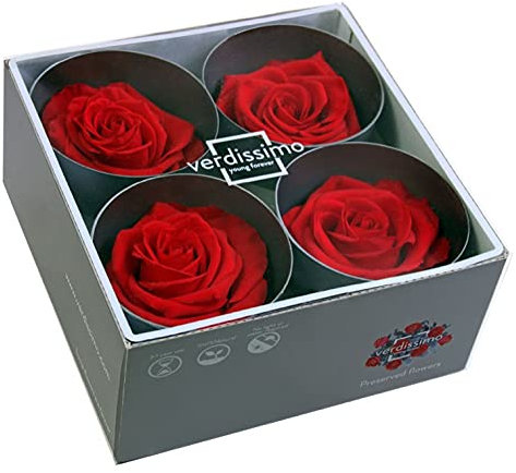 Générique VERDISSIMO Tête de Rose Stabilisée Premium / 6,5 à 8,5cm de diamètre/Lot de 4pcs (Rouge)