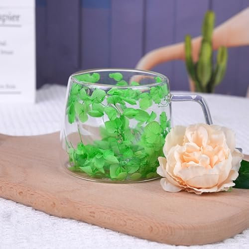 Richaa Tasse à café en verre isotherme à double paroi avec poignée 200 ml - Tasse à café expresso en verre borosilicate - Cadeau original