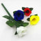 4 Farben ändern Rosenverfärbung, Rosen, Zaubertricks, Farben, Blume, Magie, Bühne, Straße, Illusion, Requisiten, Komödie Gimmick