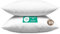 FAM’Home Baumwolle Kissen 65x65 2er Set, Atmungsaktiv Waschbar Kopfkissen 65x65, Polyester-Hohlfaserkügelchen Bettkissen, Kissenfüllung für Allergiker Geeignet