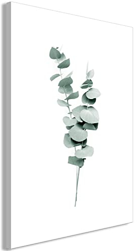 murando - Wandbilder Eukalyptus 40x60 cm Vlies Leinwandbild 1 tlg Kunstdruck modern Wandbilder XXL Wanddekoration Design Wandbild Blätter Natur Pflanze weiß grün Abstrakt b-C-10305-b-a