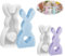 2 Stück Silikonformen Gießformen Ostern Hase,Silikonform Hase 3D,Gipsformen zum Gießen Ostern,Kaninchen Gießformen Silikon,für DIY Deko Gips Sojawachs Kerzen Ostergeschenke Handwerk