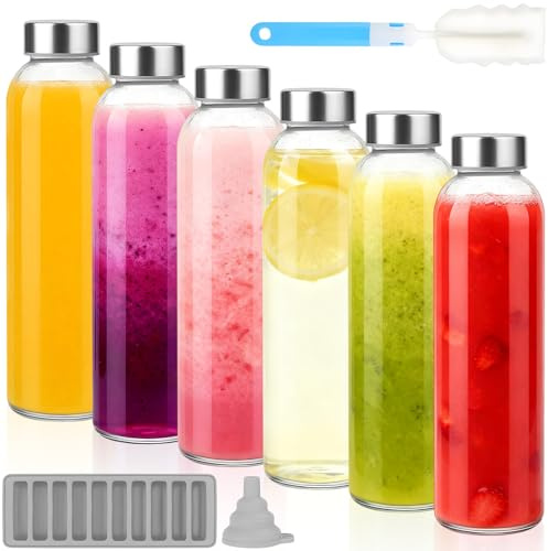 Dinhauyon Botella de jugo de vidrio de 6 piezas, botella de agua transparente de 500 ml con tapa sellada de acero inoxidable, cepillo de limpieza, embudo y bandeja para paletas