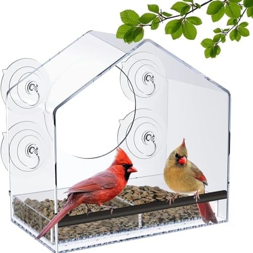 Jarkyfine Fenster Futterhaus für Vögel, Vogelhaus Fensterscheibe mit Saugnäpfen, Groß Vogelfutterhaus Fenster, Futterspender für Wildvögel mit Abnehmbarem Tablett, Window Bird Feeder