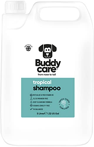 Tropisches Hundeshampoo von Buddycare - Tiefenreinigendes Shampoo für Hunde - Erfrischender Duft - Mit Aloe Vera und Pro-Vitamin B5 (5L)