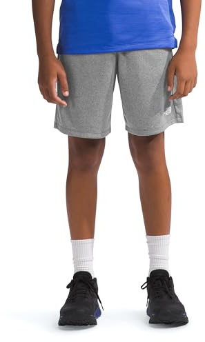 The North Face Never Stop Shorts TNF Medium Grey Heather 140