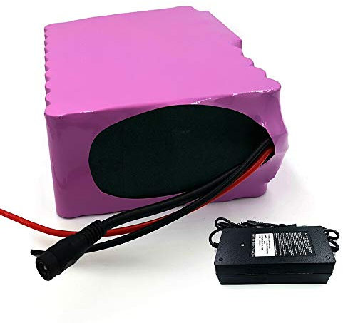 Avec chargeur 5 A 42 Ah 7S12P 24 V pour vélo électrique Li-ion Personnalisable 225 x 135 x 70 mm