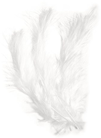 Flauschfeder, 10-15 cm, 15 St., weiß