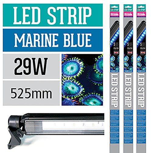 Arcadia LED Leuchte Series 5 Strip Marine Blue 29 Watt 525mm Aquarien Aquarium Beleuchtung