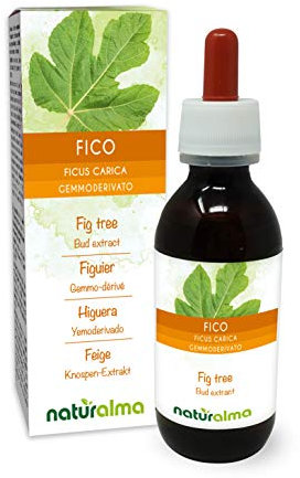 Figuier (Ficus carica) Gemmo-dérivé sans alcool à base de bourgeons frais Naturalma - Extrait liquide gouttes 120 ml - Complément alimentaire - Végétalien ou végan