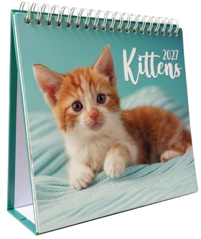 2024 Monatsansicht Desktop-Kalender Home Office Tisch Arbeitsplatz Planer Organizer (Kätzchen)
