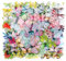 Libelle und Schmetterling Probe Sticker Set, NogaMoga 160 Stücke Aufkleber, Bunt Dekoration PVC Scrapbooking Aufkleber für DIY Fotoalben, Tagebuch, Notizbuch, Briefumschläge oder Glückwunschkarten