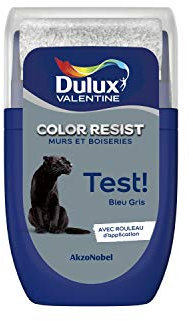 Dulux Valentine Peinture Color Resist - Murs et Boiseries - Mat - Testeur Couleur Bleu Gris 30 ml