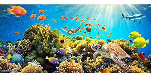 decomonkey Fototapete selbstklebend Unterwasser 539x250 cm Selbstklebende Tapeten Wand Eckfototapete Tapete Wandtapete klebend Klebefolie Aquarium Meer Natur Fisch Tiere Korallen Sonne Blau Bunt