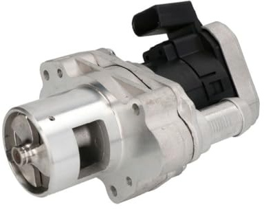 Delphi Technologies EG10455-12B1 AGR-Ventil