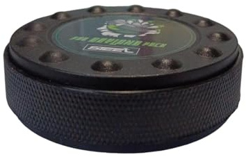 STEEL Puck Dryland Trockentraining