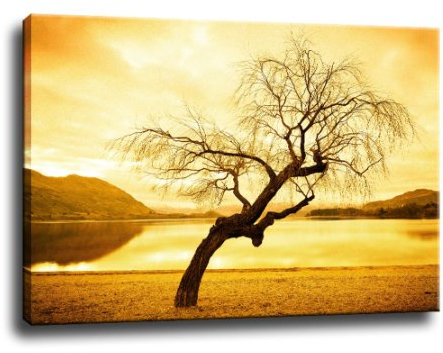 Baum Bild auf Leinwand - 80 x 60 cm - Fertig gerahmte Kunstdruck Bilder als Wandbild - Billiger als Ölbild Gemälde - KEIN Poster oder Plakat