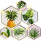 alles-meine.de GmbH 3D Wandsticker freie Motivwahl für Kinder & Erwachsene - 6 TLG. Set - Tropen - Blätter & Ananas - Relief Kunststoff - selbstklebend + wiederverwendbar - W..
