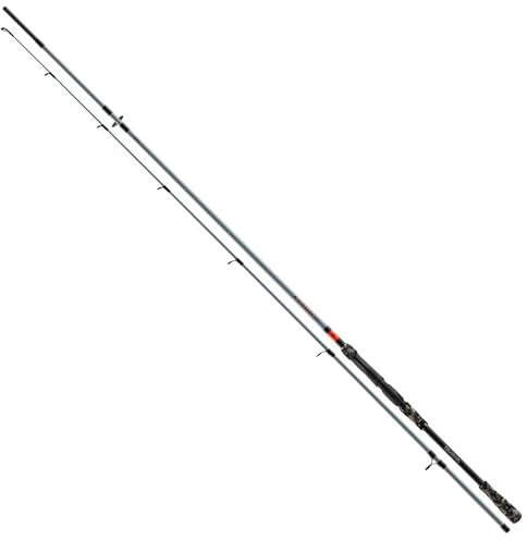 Daiwa Fuego Spin 3.00m 20-60g