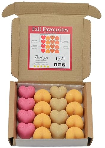 RSWellness Fall Favourites Soy Wax Melts Scented - 16 Wax Melts Gift Set - Handmade Home Fragrance - Vegan & Pet Friendly - Luxury Candle Alternative - Highly Scented Candle Gifts for Women