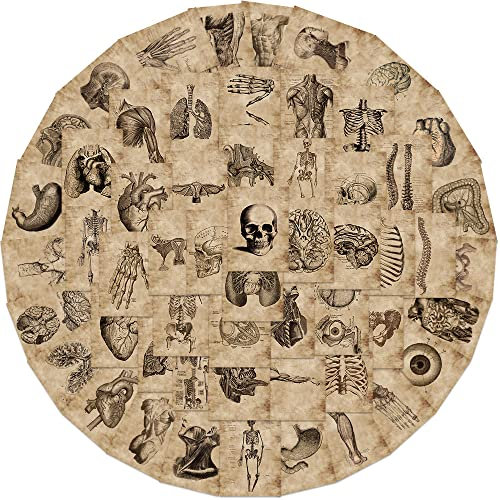 Human Skeleton Aufkleber Skelett Sticker Set 50 Stücke Niedlich Deko für Auto Laptop Skateboard Fahrrad Moped Motorrad Fahrrad Computer,Geeignet für Erwachsene Kinder