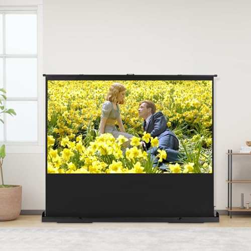 Écran de projection 80 pouces 16:9, mobile, business et home cinéma, vidéoprojecteur portable 4K et 8K Ultra Pull-up HD Projecteur au sol Écran avec support, réglable pour présentation home cinéma