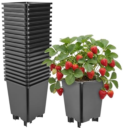 Garronda Blumentopf Pflanztopf Kunststoff mit Standfüßen 21 x 21 x 26,5 cm (7L) 20er Set für Erdbeeren und Himbeeren, Kulturtopf mit Drainage für Hydrokultur und Gartenbau Schwarz GD-0206
