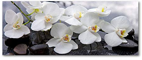 Tulup Glas-Bild Wandbild aus Glas - Wandkunst - Wandbild hinter gehärtetem Sicherheitsglas - Dekorative Wand für Küche & Wohnzimmer 125x50 - Blumen & Pflanzen - Orchidee - Weiß