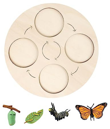 BESTonZON 1satz Tier-Schmetterling Lebenszyklus Pädagogisches Spielzeug Für Mädchen Naturverständnis Und Kognitiver Entwicklung Für Geburtstags Und Feiertagsgeschenke