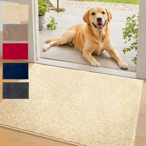 Floordirekt Schmutzfangmatte NASA, Beige - 80 x 120 cm Fußmatte, Türmatte für Eingangsbereich aus Polyester mit Rutschfester Unterseite