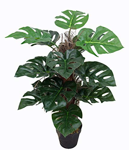 Monstera JWSL049 Plante artificielle avec pot env. 60 cm de haut