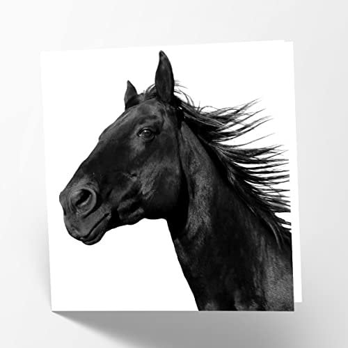 Maturi Blanko-Grußkarte mit schwarzem Pferd