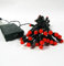 50 100 200 LED Battery Operated Red Berry Ball Fairy String Lights ON/Off/Flash Functions Green Wire Indoor/Outdoor Christmas Festive Xmas Wedding Parties (4.9m - 50 LED)