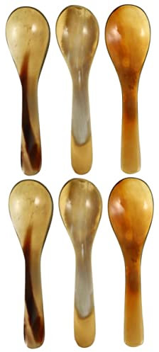 KICHOUSE 6pcs Buffalo Horn Serving Spoon Reusable Dessert Spoons Vintage Style Handmade Kitchen Accessories