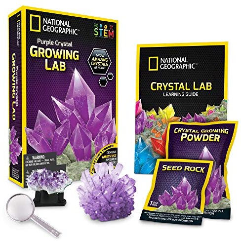 Bandai - National Geographic - Kit de cristal à faire pousser - Cristal violet - Jeu scientifique et éducatif - STEM - JM00632