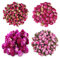 TooGet Dried Flowers Natural Flowers includes Red Rose Flowers, Peony Ball, Gomphrena globosa, Peach Flowers, Edible Flower Kit for Soap Making Supplies, Also for All Kinds of Flower Crafts