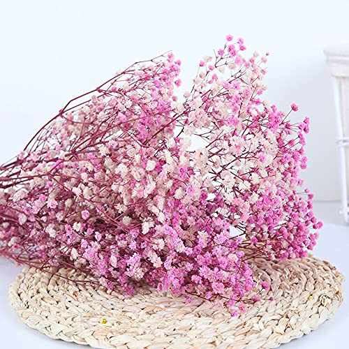 YIWOYI Natürliche Trockenblume, Schleierkraut, frisch getrocknet, getrocknete Blumen, Blumensträuße für Hochzeit, Party, Heimdekoration, 15 - 30 cm, 20 g, Rosa / Violett
