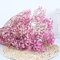 YIWOYI Natürliche Trockenblume, Schleierkraut, frisch getrocknet, getrocknete Blumen, Blumensträuße für Hochzeit, Party, Heimdekoration, 15 - 30 cm, 20 g, Rosa / Violett