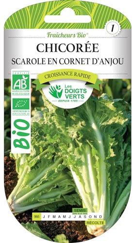 Graines chicorée scarole en cornet d'Anjou BIO Les Doigts Verts